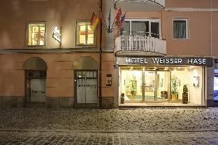 passau weisser hase