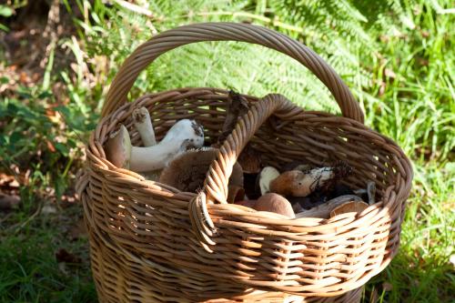 le manoir du lys the originals relais relais du silence