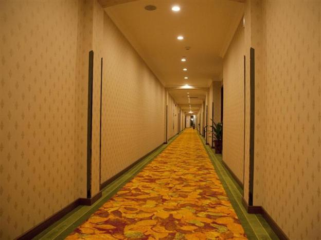 greentree inn shanghai minhang development zone subway station business hotel