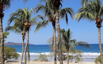 flamingo beach resort and spa