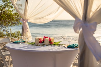flamingo beach resort and spa
