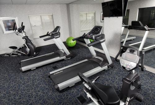 holiday inn express and suites omaha south ralston