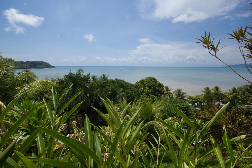drake bay