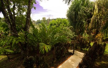 drake bay