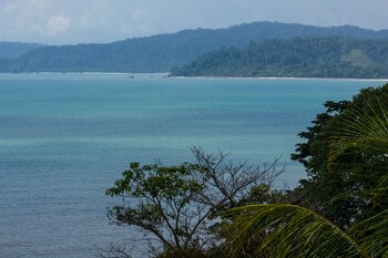 drake bay
