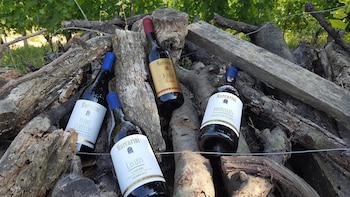 agriturismo marcarini