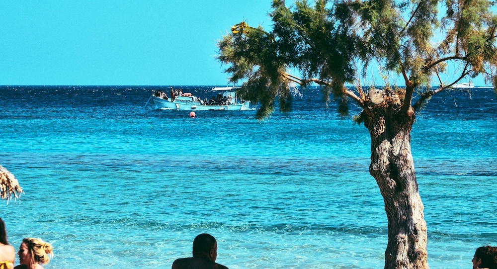 paradise beach resort