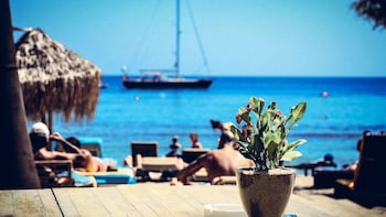 paradise beach resort