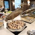 staybridge suites albany wolf rd colonie center by ihg