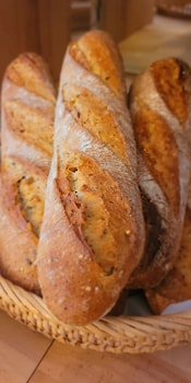 tennis international