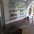 san miguel de allende