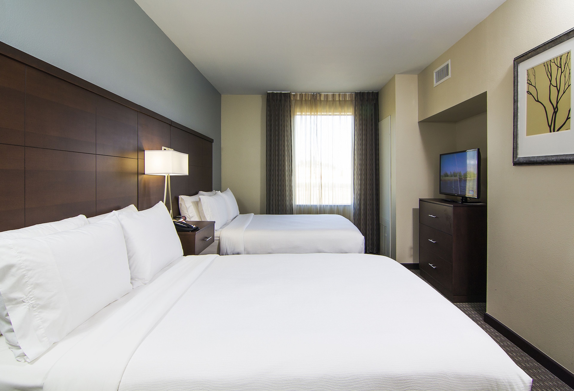 staybridge suites carlsbad by ihg