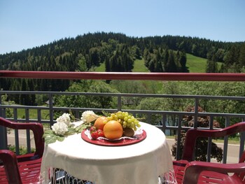 waldhotel am notschreipass