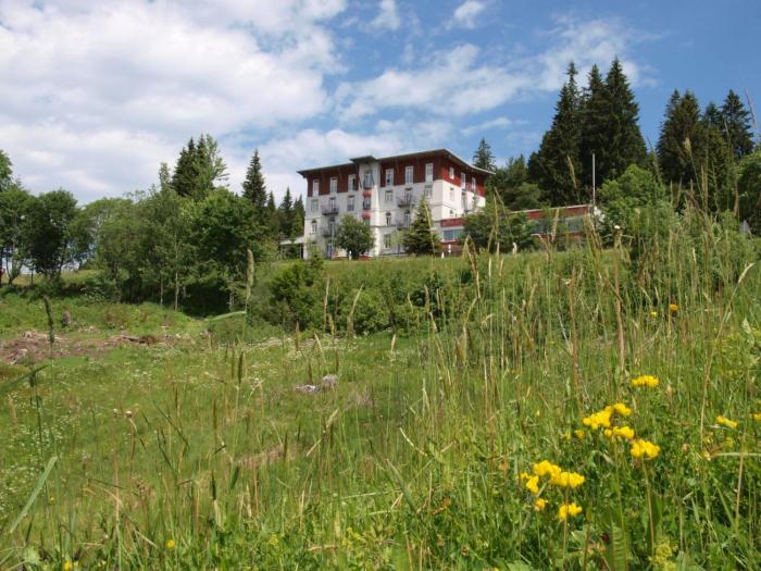 waldhotel am notschreipass