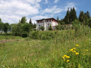 waldhotel am notschreipass