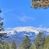 ruidoso