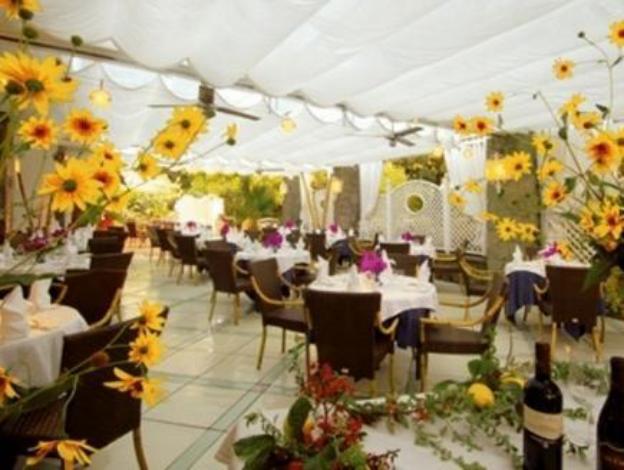 central park hotel terme