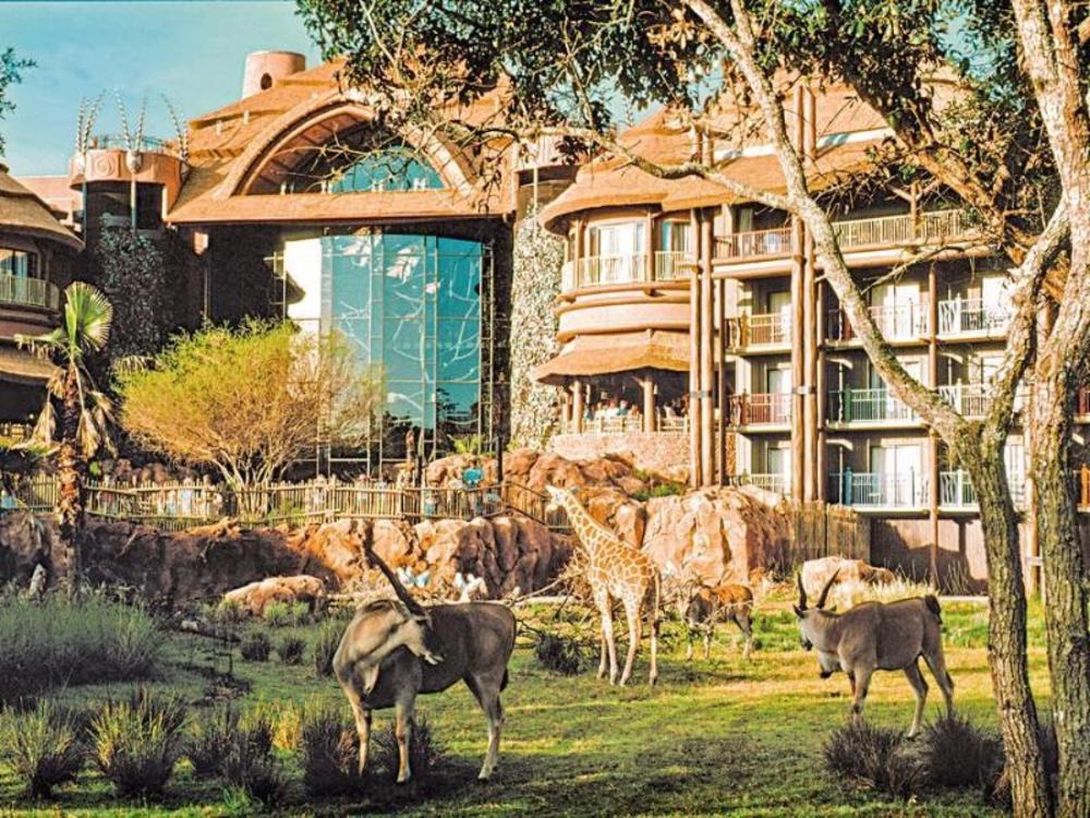 lake buena vista