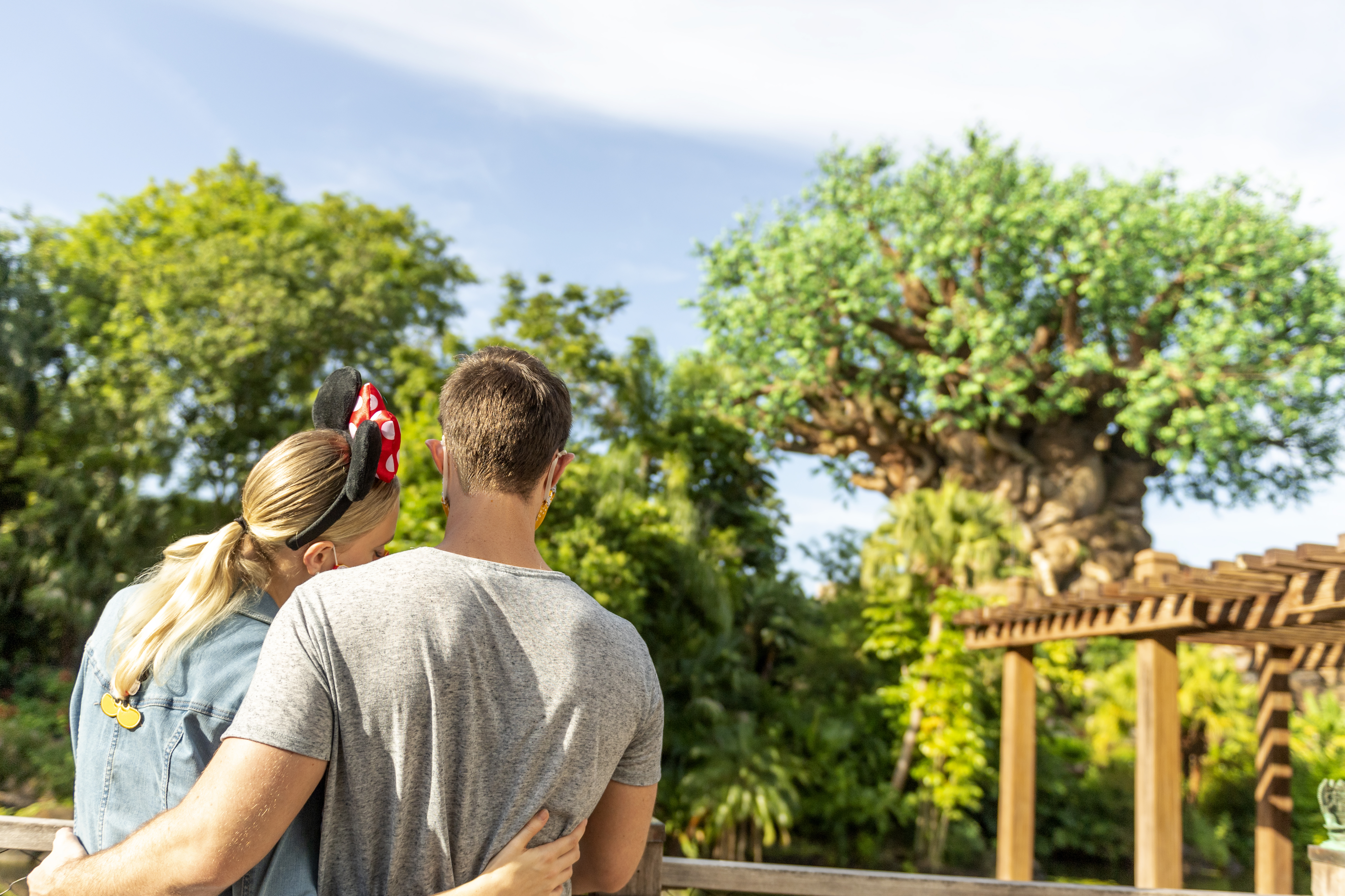 disneys animal kingdom villas jambo house