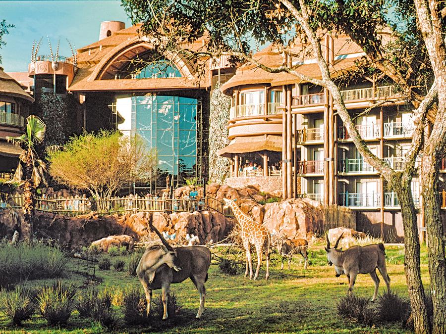 lake buena vista