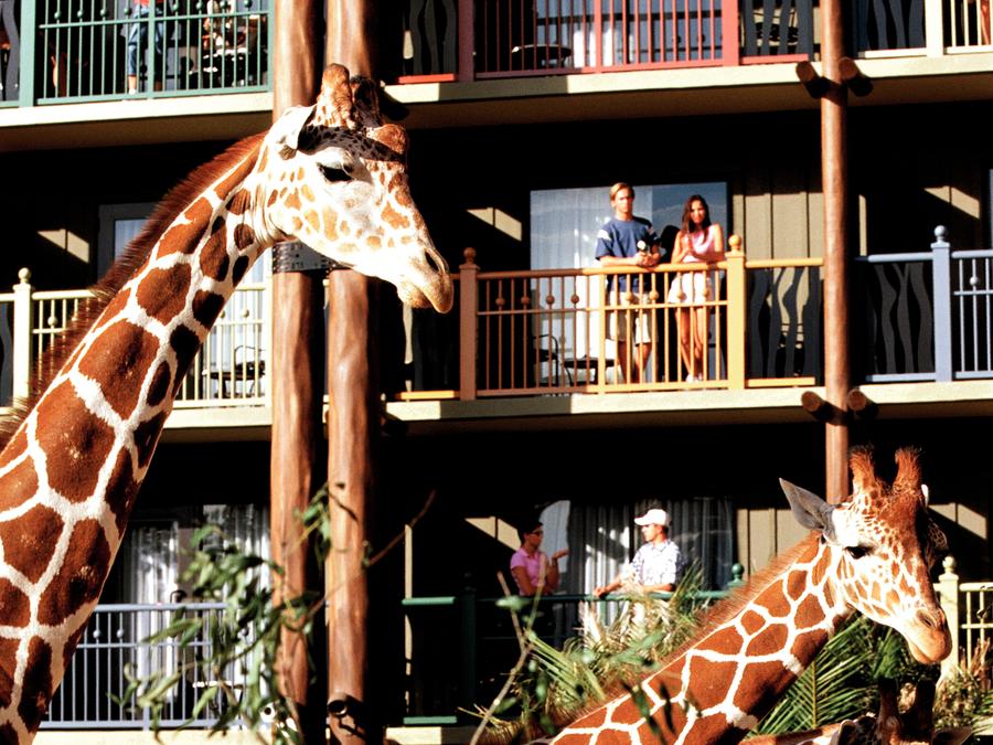 lake buena vista