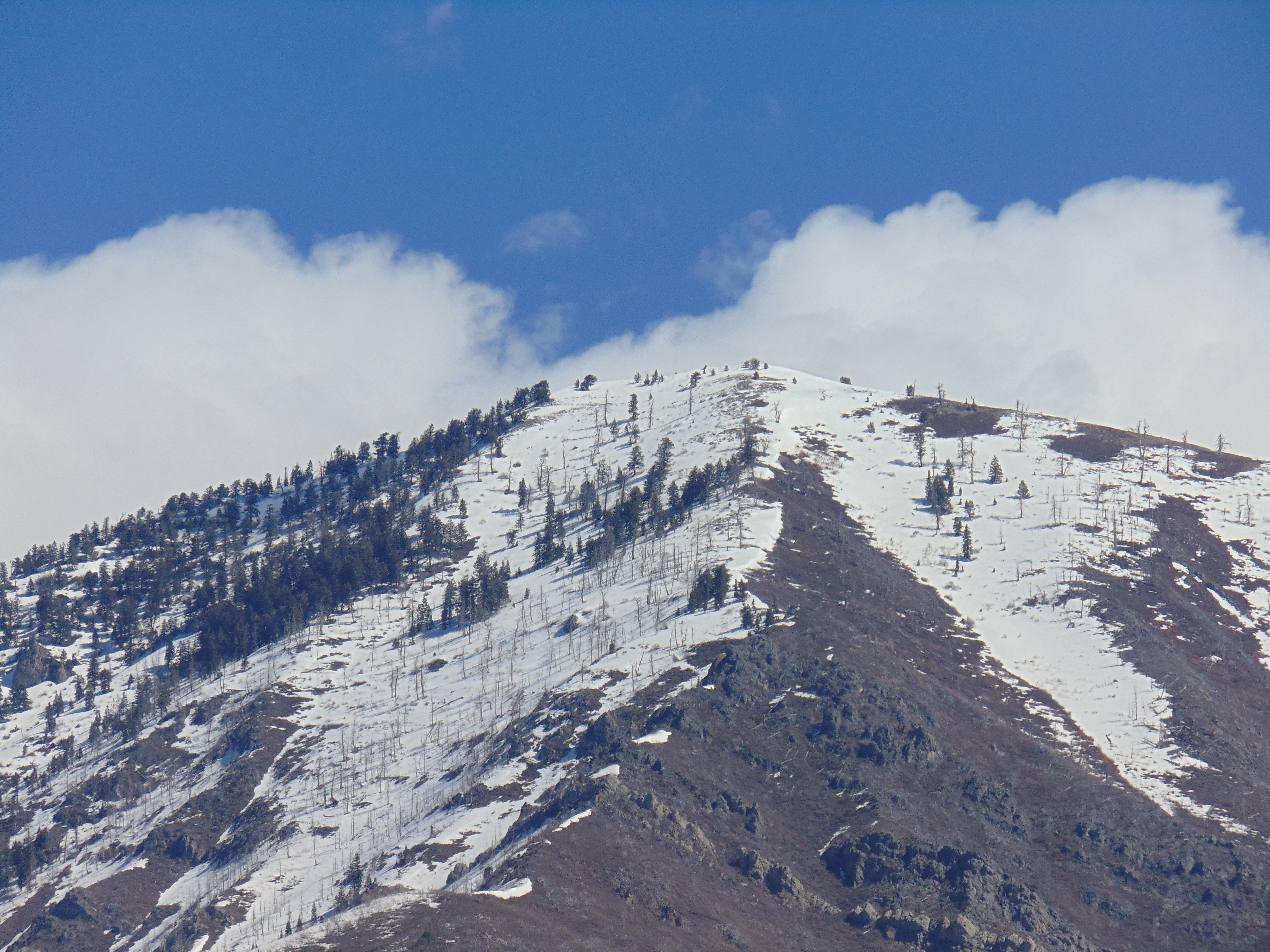 holiday inn express and suites springville south provo area by ihg