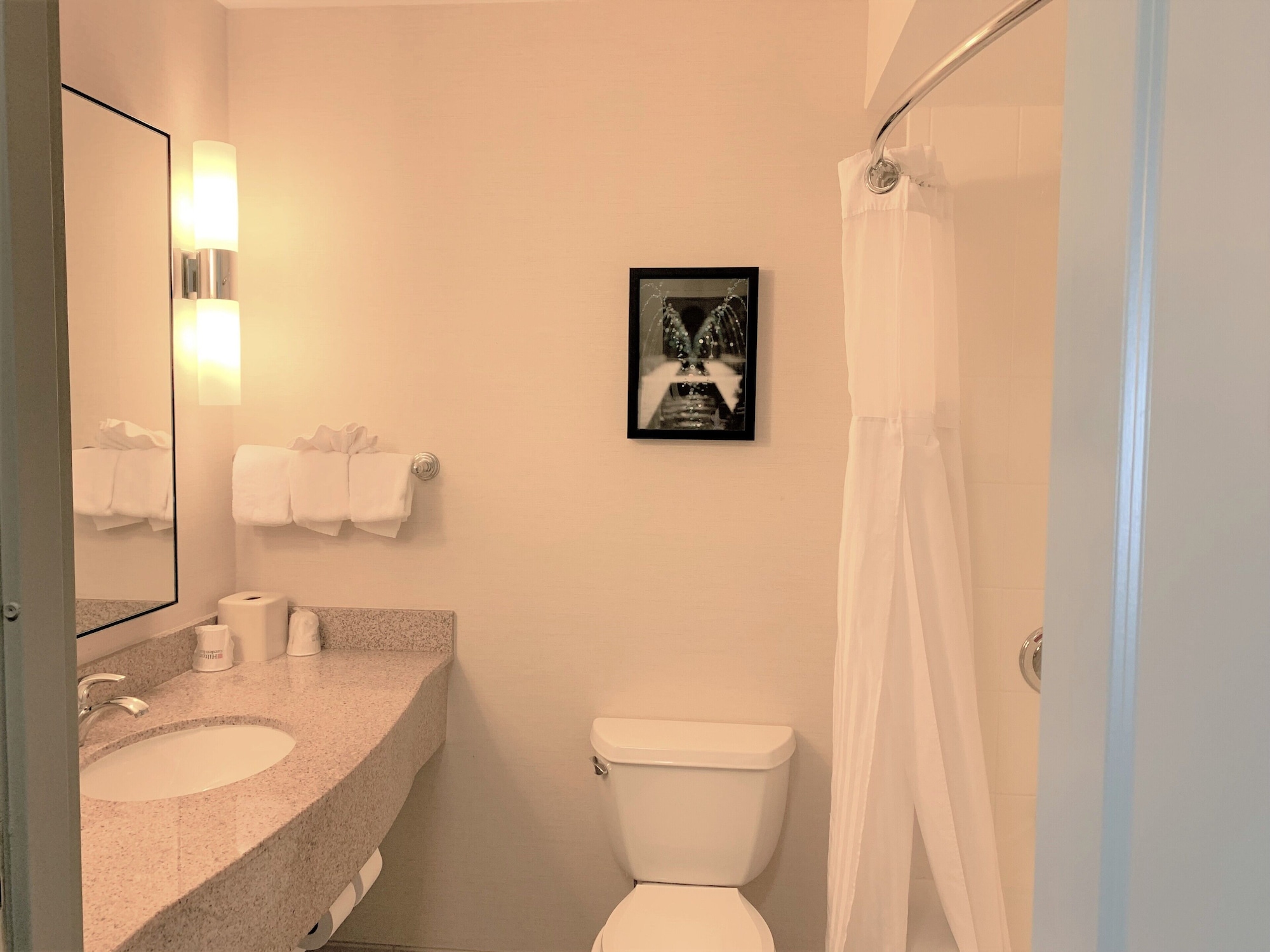 hilton garden inn albany medical center