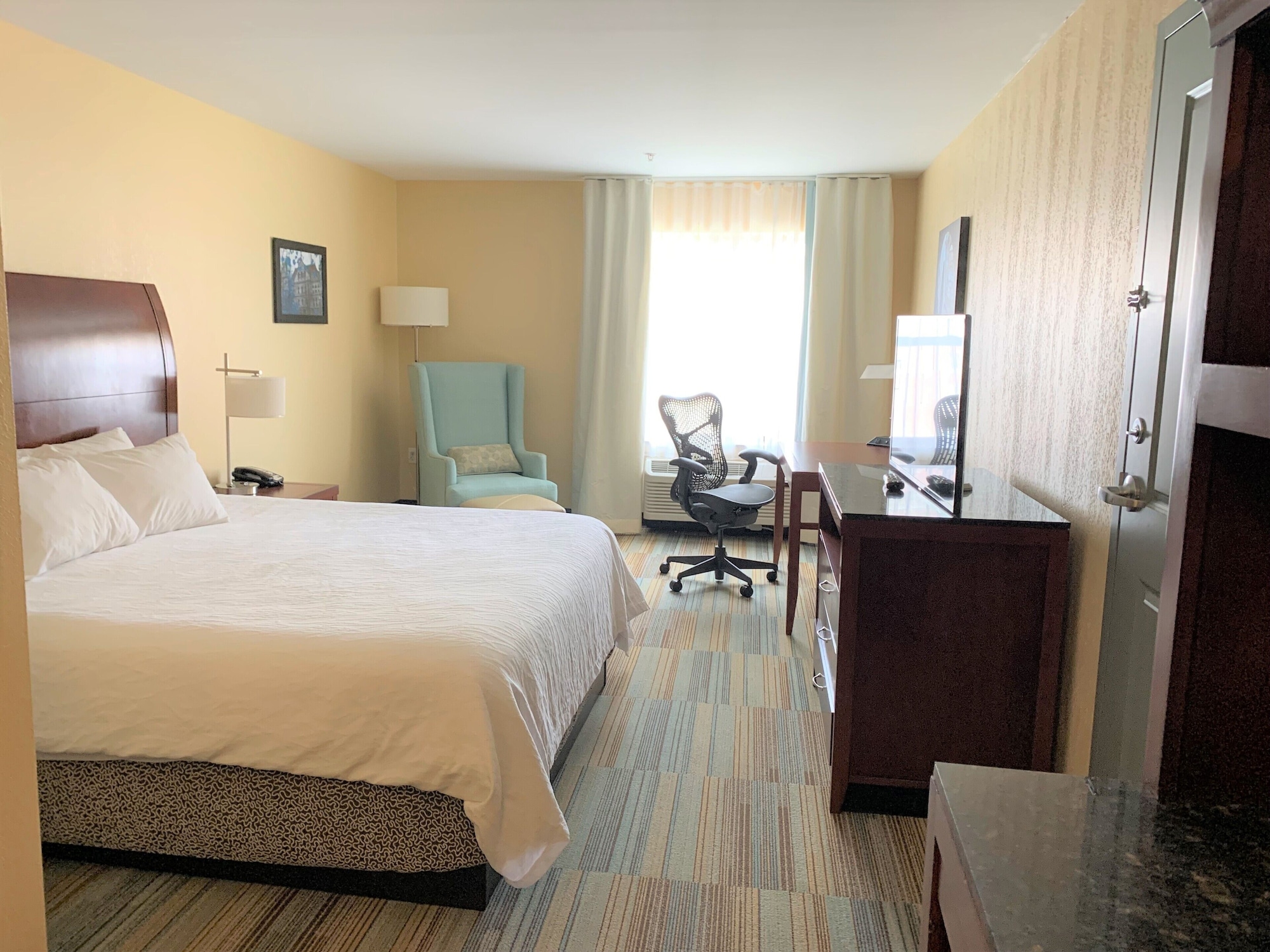hilton garden inn albany medical center