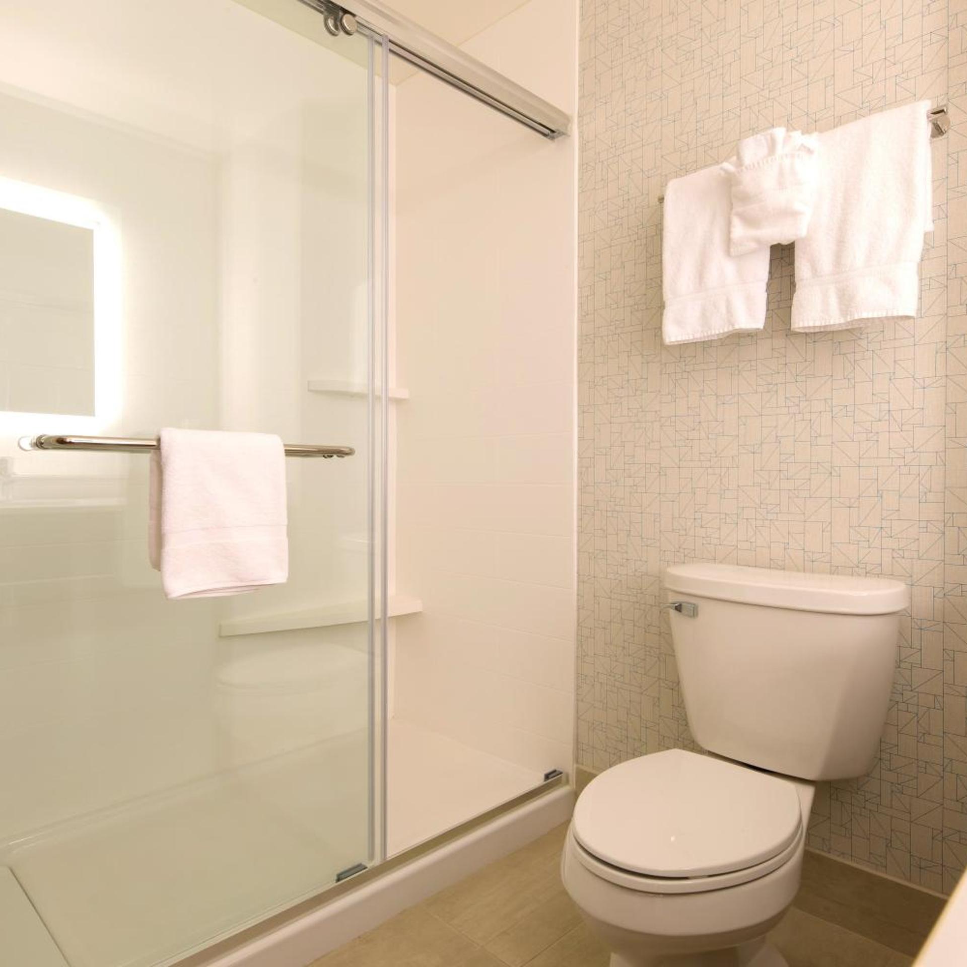 holiday inn express and suites rochester hills det