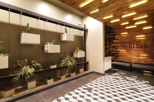 holiday inn hotel and suites hermosillo aeropuerto by ihg