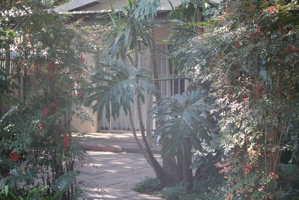 doves nest guest house