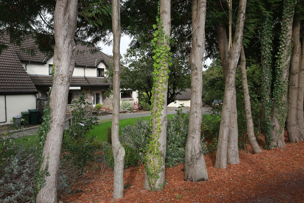 ewenny farm guesthouse