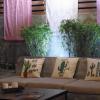 Riverside Guesthoue,,2 star