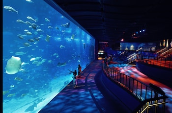 resorts world sentosa beach villas