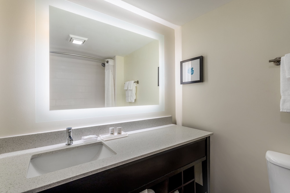holiday inn tampa north by ihg