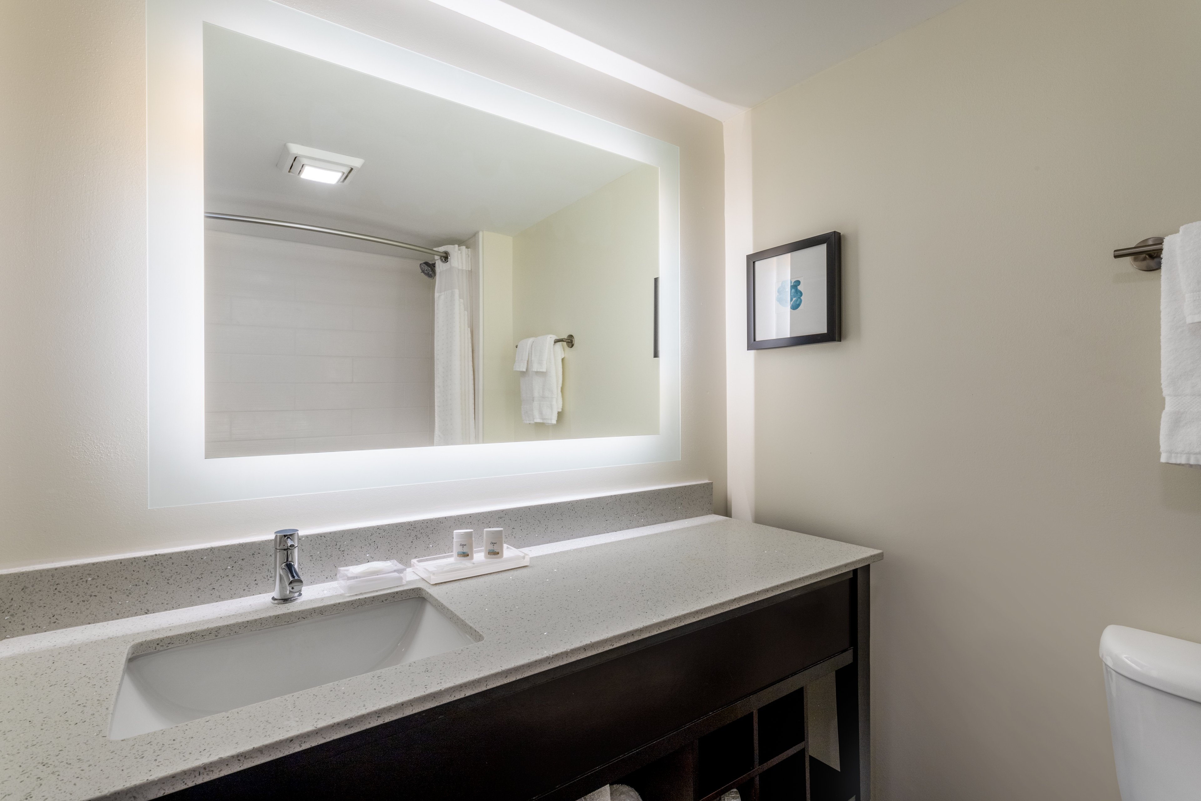 holiday inn tampa north by ihg