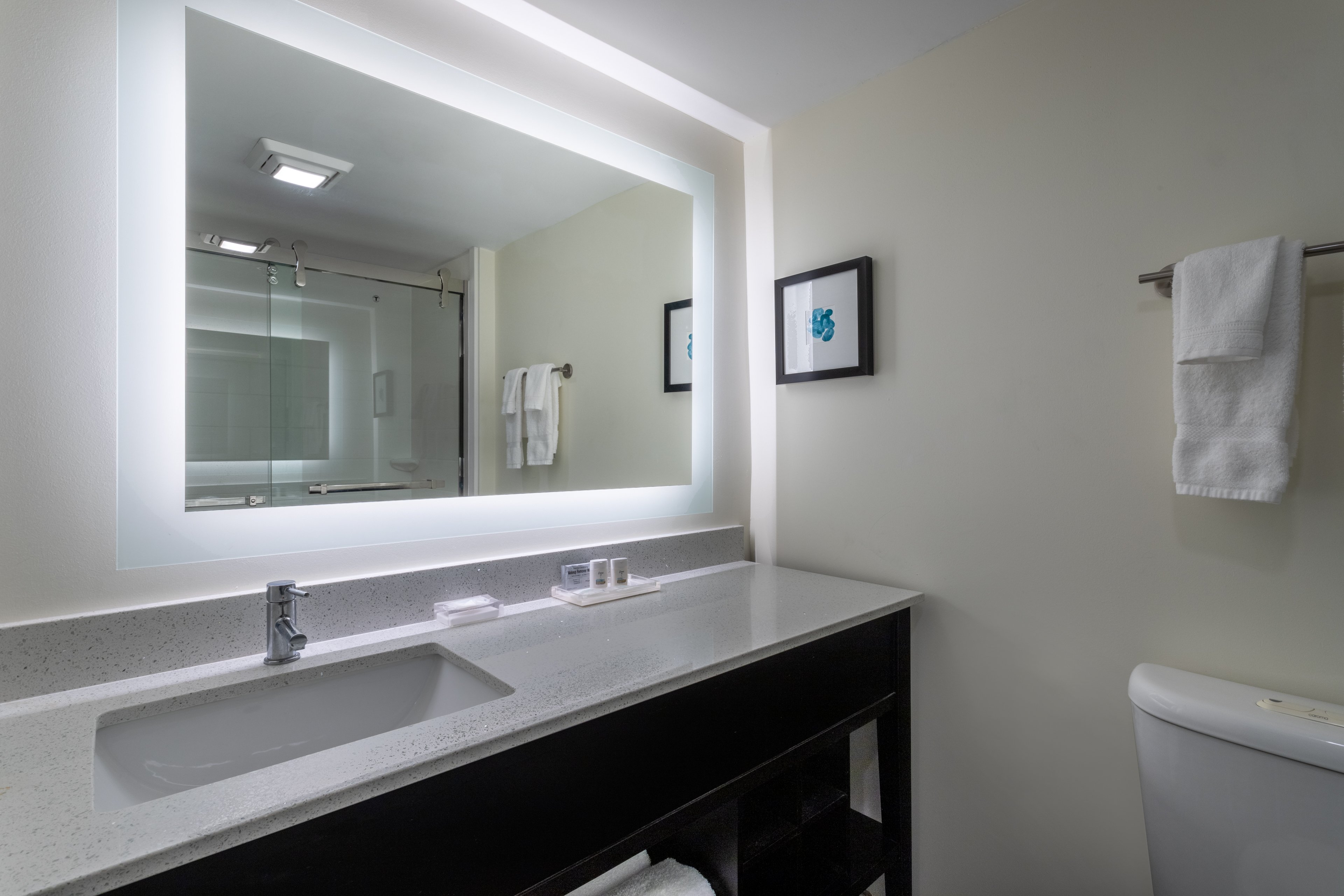 holiday inn tampa north by ihg