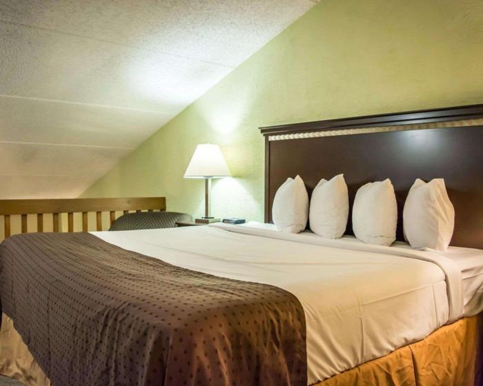 quality inn and suites tampa brandon near casino