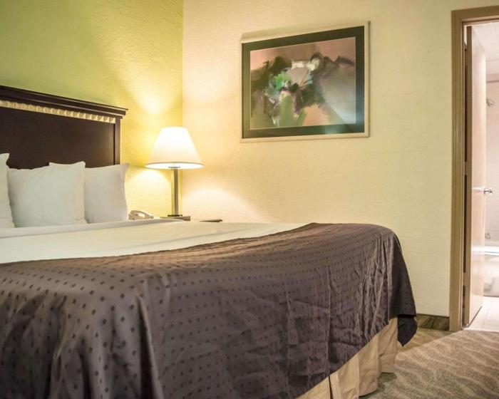 quality inn and suites tampa brandon near casino