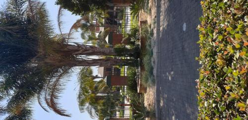 pietersburg club