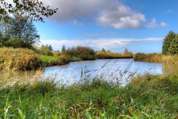 shilo inn suites hotel warrenton