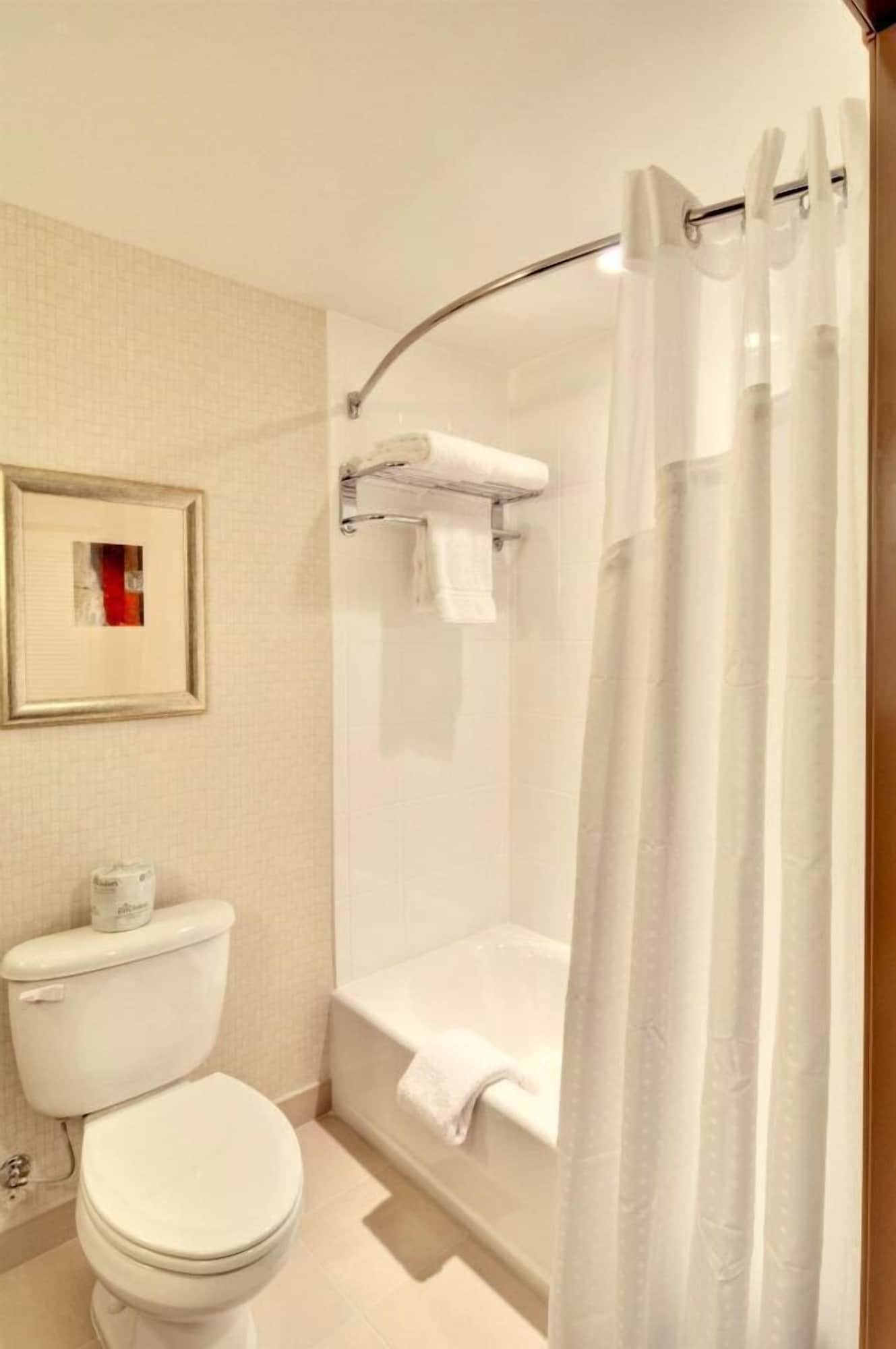holiday inn downtown mercy area by ihg