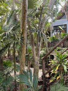 tulum