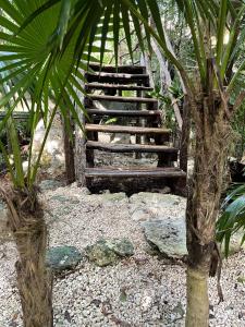 tulum