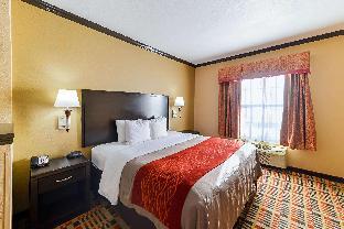 quality inn and suites