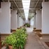 als resort
