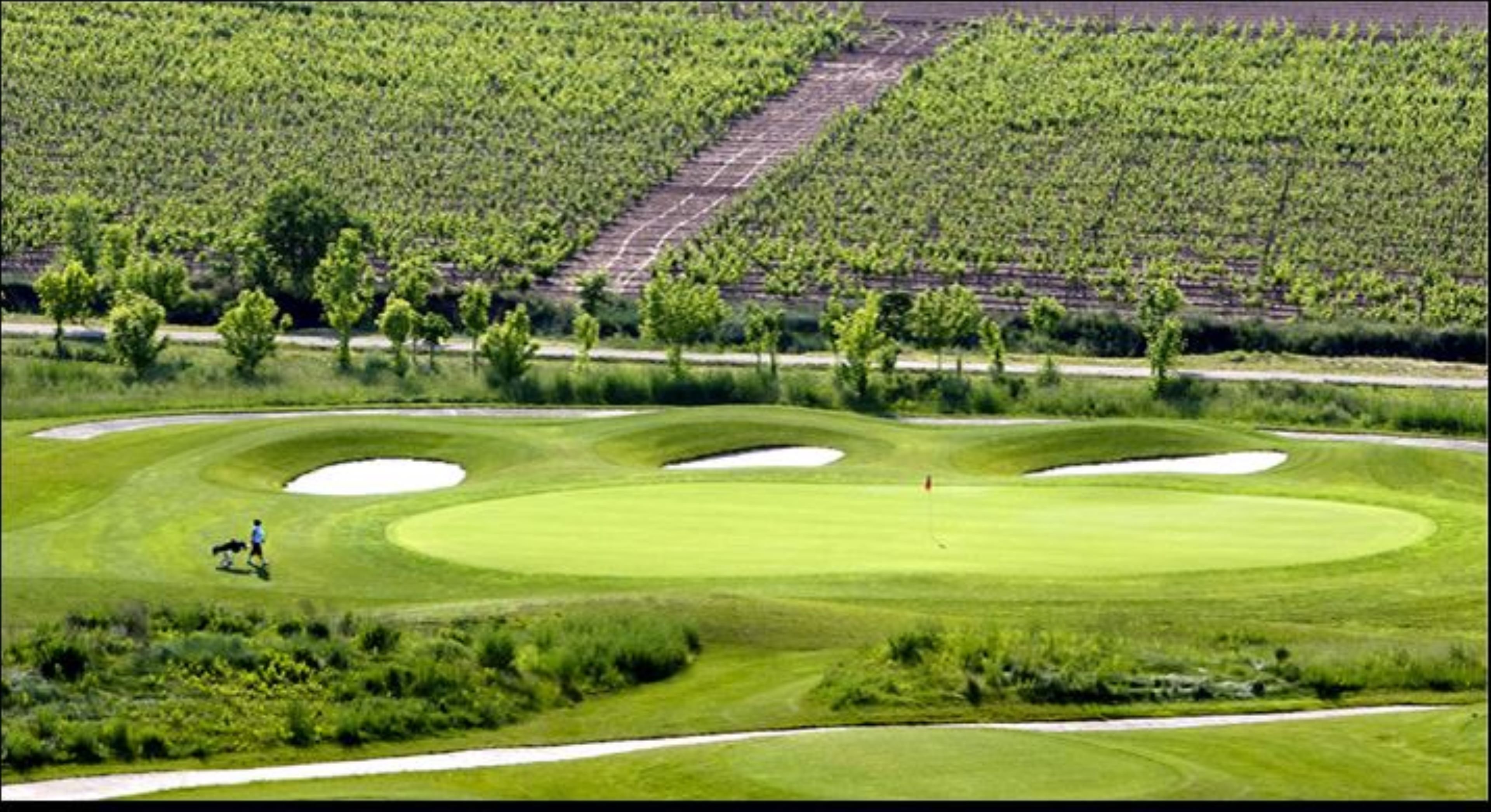 holiday inn express logrono rioja by ihg