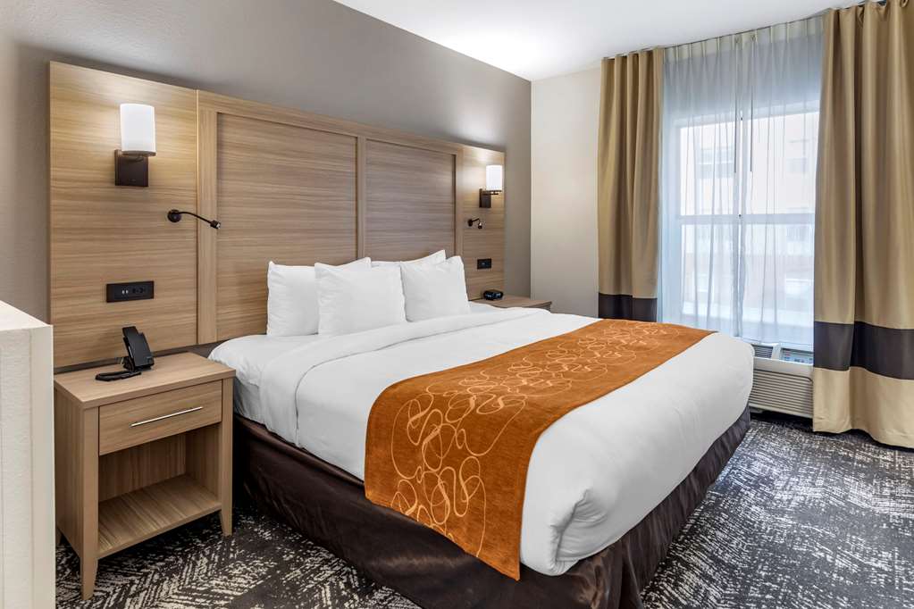 comfort suites anderson clemson