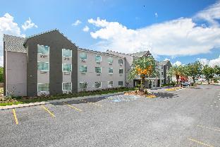 comfort inn and suites houma
