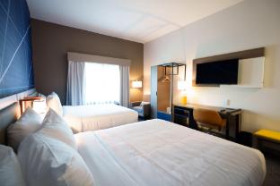 comfort inn and suites houma